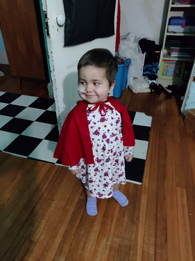 IMG_20241029_200221.jpg, 2.8 MB