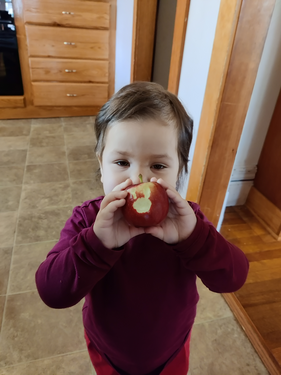IMG_20251021_140712.jpg, 3.1 MB